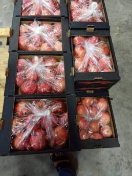 pomegranate-fresh-export from-egypt to eu